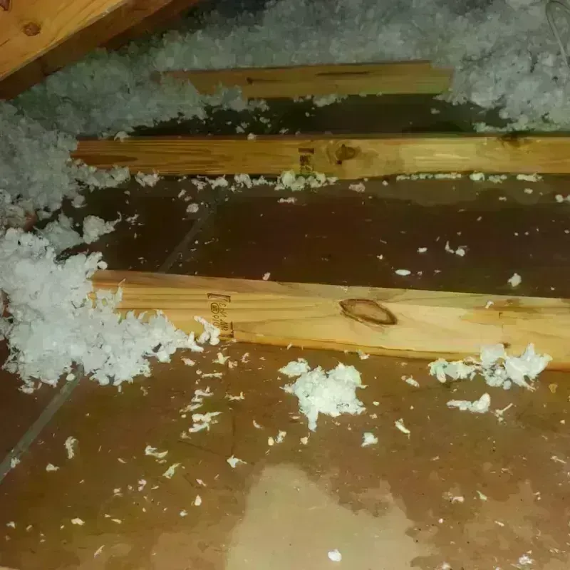 Attic Water Damage in Port Washington, NY